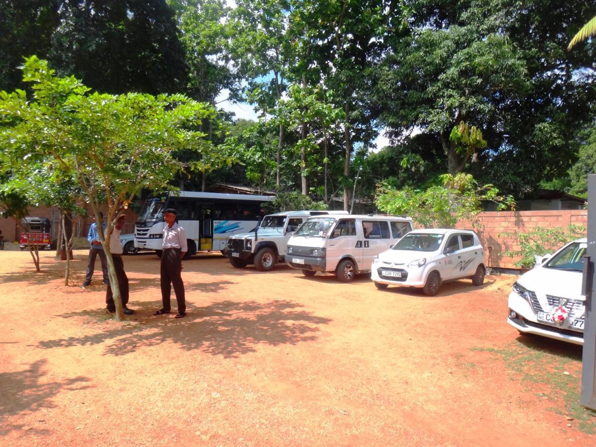 Honey Tree Polonnaruwa Hotel Bagian luar foto