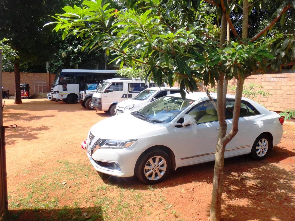 Honey Tree Polonnaruwa Hotel Bagian luar foto