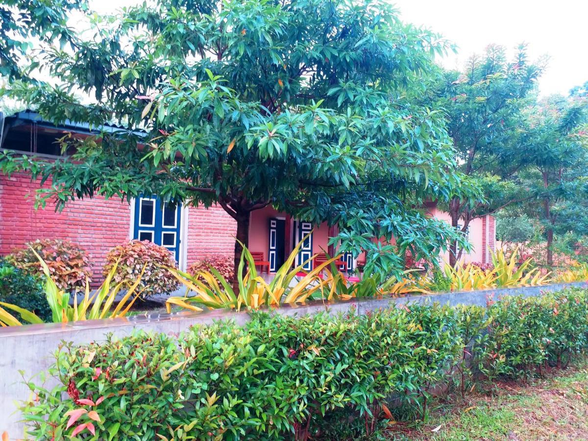 Honey Tree Polonnaruwa Hotel Bagian luar foto